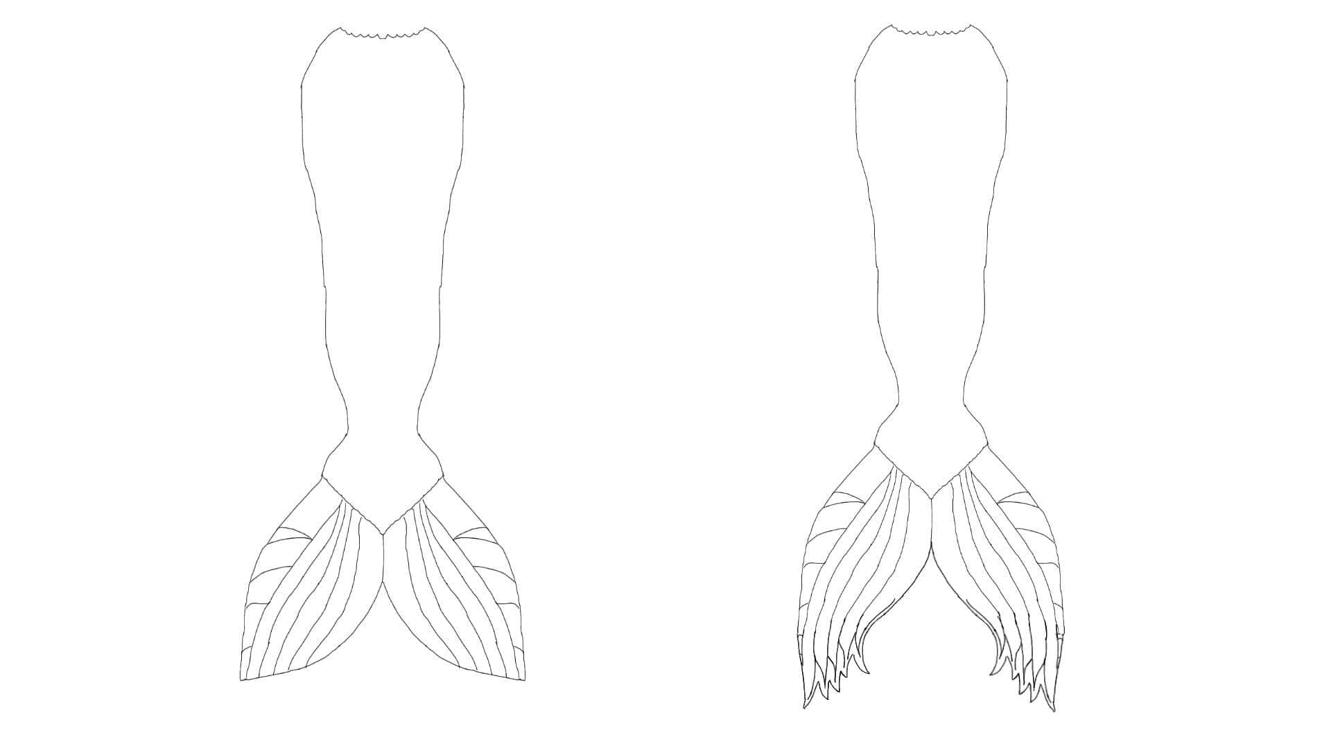 AquaMermaid custom mermaid tail fluke design options