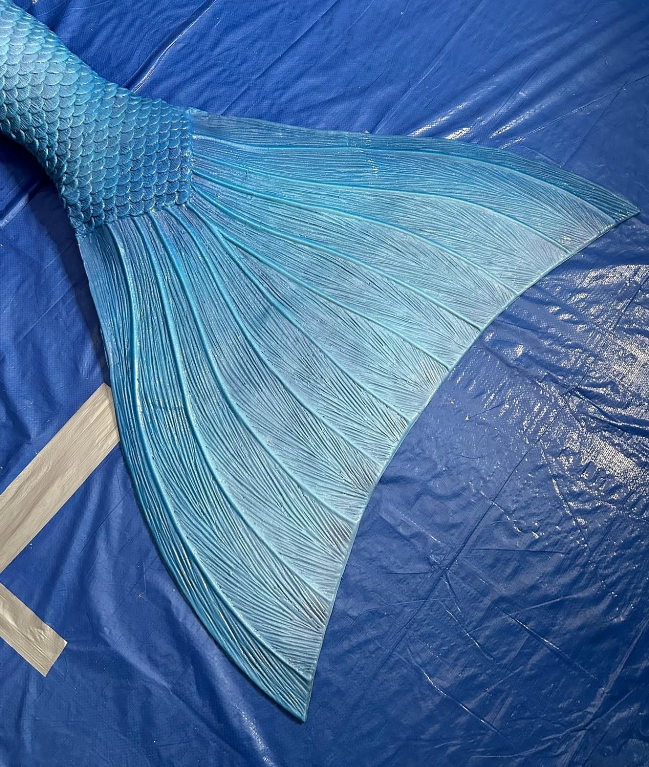 2003 fluke shape