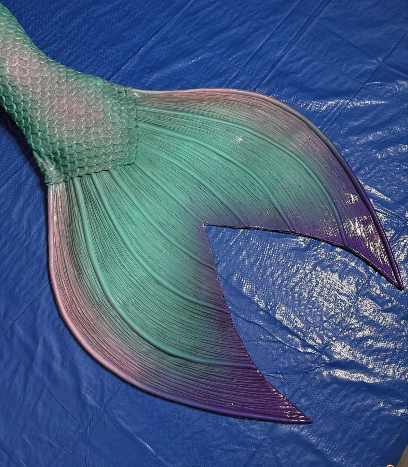 Athena fluke shape
