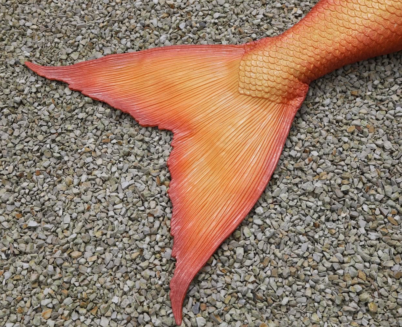 Eclipse fluke shape