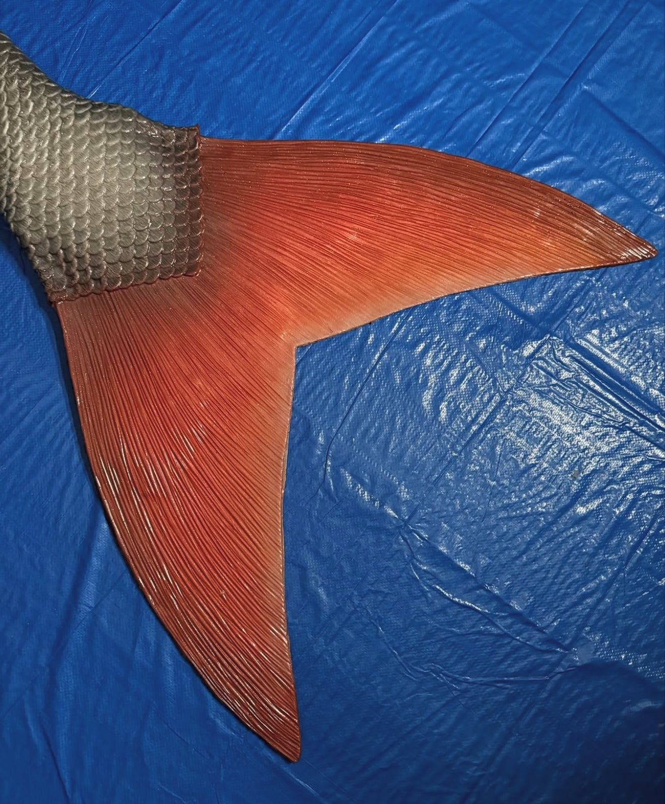 Fishy fluke shape