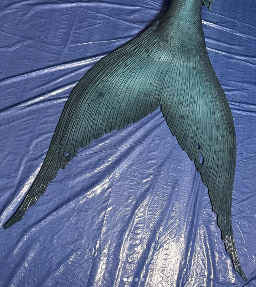 Kalina fluke shape